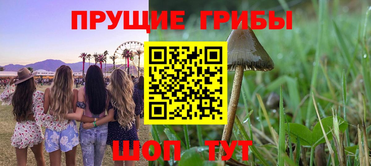 Галлюциногенные грибы Magic Shrooms  Галлюциногенные грибы Psilocybine cubensis  Сургут  Вход с VPN 